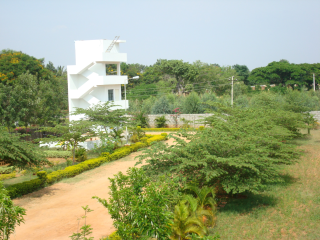 Environmental Protection